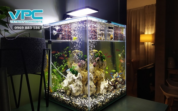 Bể nuôi cá bảy màu