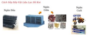 Xắp xếp vật liệu bể cá koi đúng cách