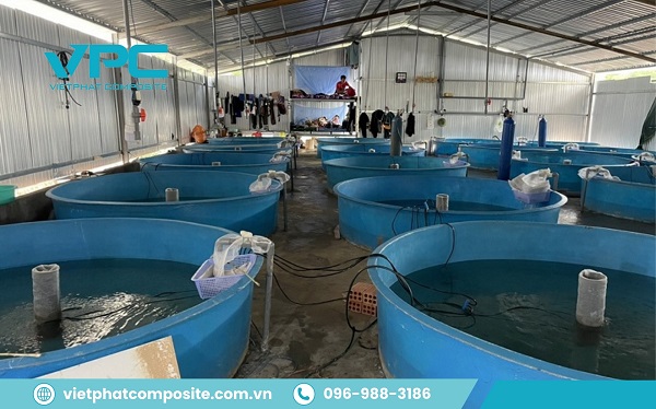 Cấu tạo bồn bể composite nuôi cá, thủy sản
