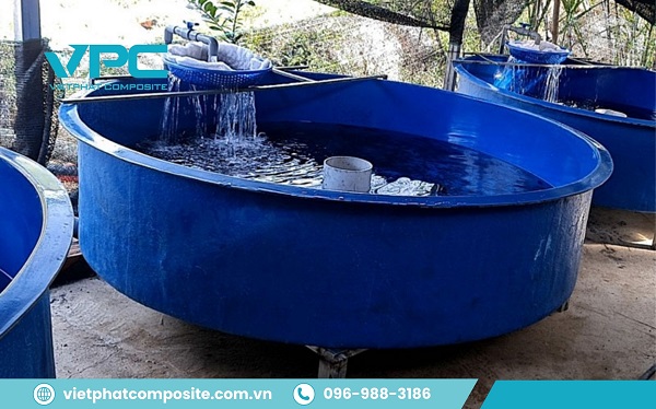 Tìm hiểu bồn composite nuôi cá là gì?