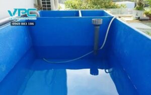 Giá bể composite nuôi cá koi là bao nhiêu, địa chỉ mua