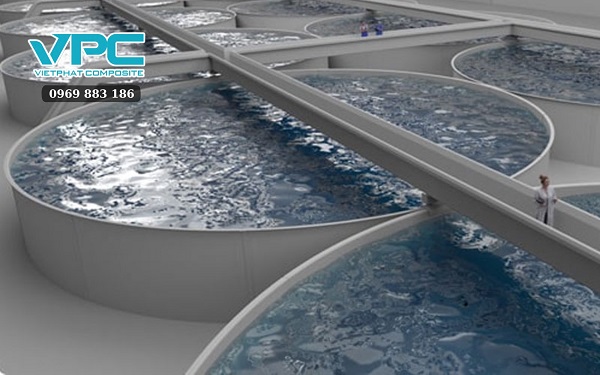 Ưu điểm của bể composite để nuôi lươn