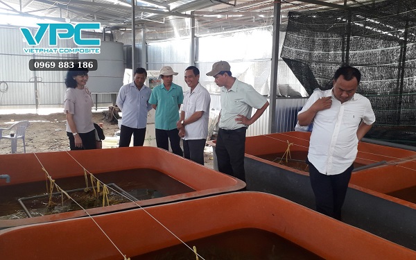 Thế nào là bể composite nuôi lươn