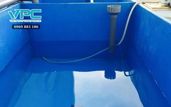 Tại sao nên mua bể cá composite tại Hà Nội ở Việt Phát Composite